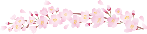09bfb42d59b1b27fcf1786bd91918c50 09bfb42d59b1b27fcf1786bd91918c50
