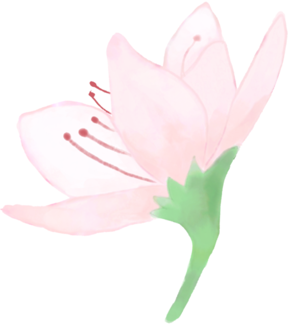 a0d6fa0e318e66bf25555a1bf445ae3f a0d6fa0e318e66bf25555a1bf445ae3f